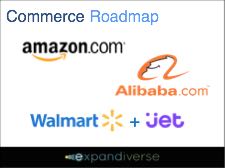 Commerce 2025 Roadmap